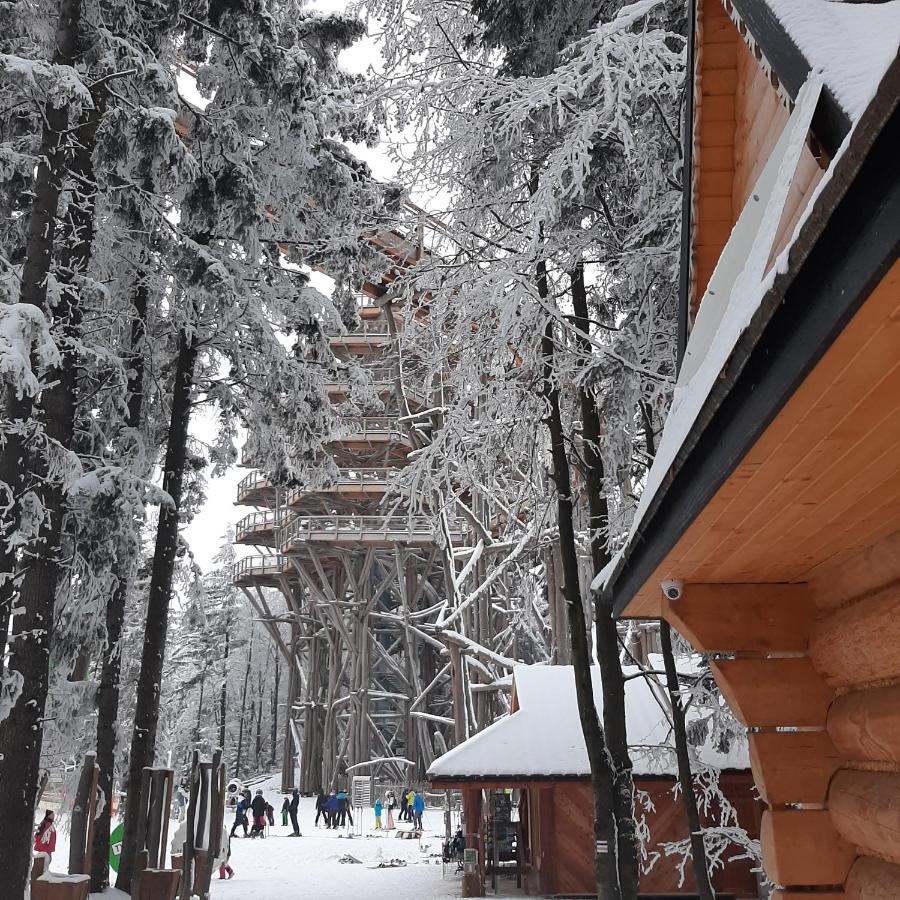Willa Male Alpy 300 M Od Kompleksow Narciarskich Крыница-Здруй Экстерьер фото