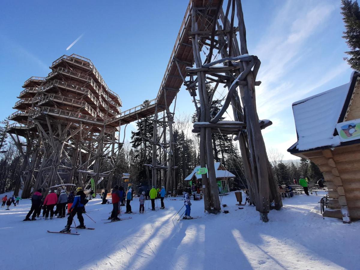 Willa Male Alpy 300 M Od Kompleksow Narciarskich Крыница-Здруй Экстерьер фото